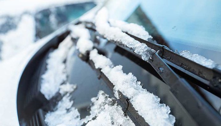 windshield blade